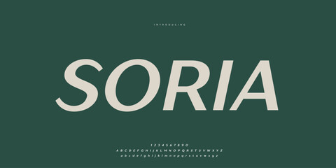 Elegant Font Uppercase Lowercase and Number. Classic Lettering Minimal Fashion Designs. Typography modern Sen serif fonts regular decorative vintage concept. vector illustration © SyedMuhammad