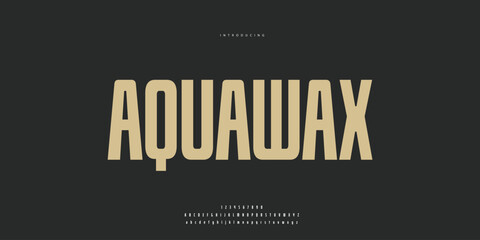 Elegant Font Uppercase Lowercase and Number. Classic Lettering Minimal Fashion Designs. Typography modern Sen serif fonts regular decorative vintage concept. vector illustration © SyedMuhammad