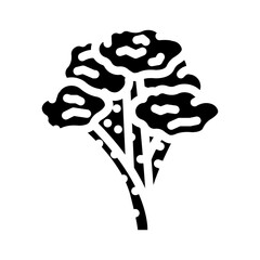 balsa jungle amazon glyph icon vector. balsa jungle amazon sign. isolated symbol illustration