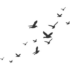 Flock of Pigeons Flying