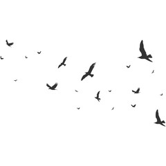 Flock of Pigeons Flying