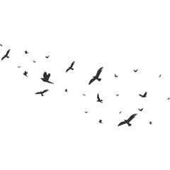 Flock of Pigeons Flying