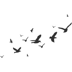 Flock of Pigeons Flying