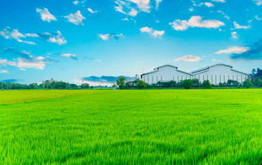 Factory with green fields and bright sky, nature background image