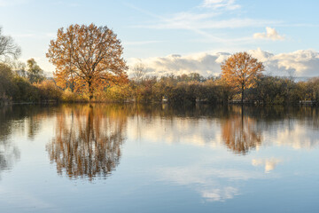 Fototapeta na wymiar Trees reflected in a flooded meadow after heavy rains. Autumn landscape.