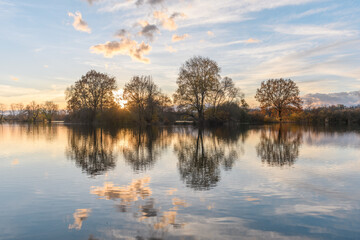 Trees reflected in a flooded meadow after heavy rains. Autumn landscape.