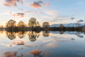 Trees reflected in a flooded meadow after heavy rains. Autumn landscape.