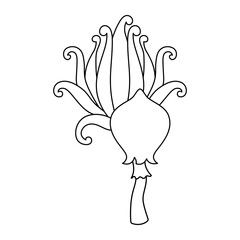 Wild mushrooms and plants on a white background, outline drawn vector illustration, 
Contour black line mushroom, Forest plant sketches, cartoon style