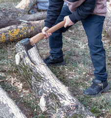 A boy hits a tree with an ax