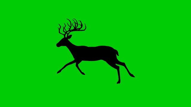 Silhouette reindeer with horns running on a green screen