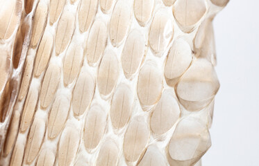 Snake skin as an abstract background. Texture