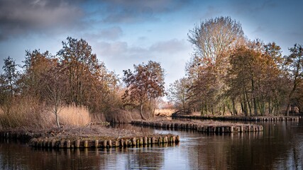 Fototapeta premium reflection of trees in the water, autumn landscape with lake