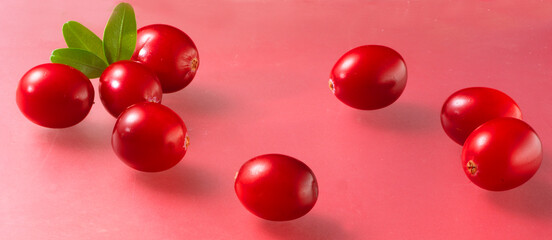  Cranberry Deko, Vitamine, Cranberry, 