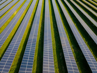 Sun power solar panel field in Thailand in the evening light