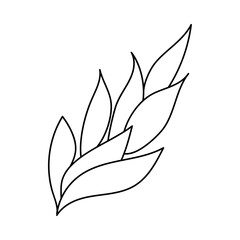Doodle style plant. Hand drawn. Isolated on a white background.