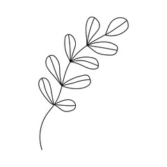 Doodle style plant. Hand drawn. Isolated on a white background.