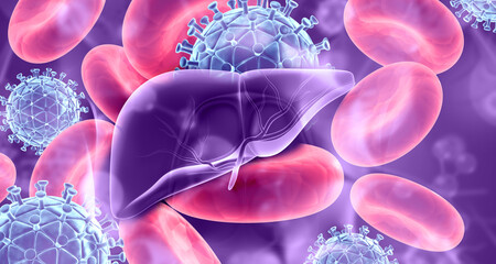 Human liver anatomy on virus background. 3d illustration. - obrazy, fototapety, plakaty
