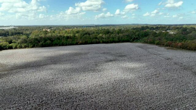 aerial pullout from cotton field near montgomery alabama