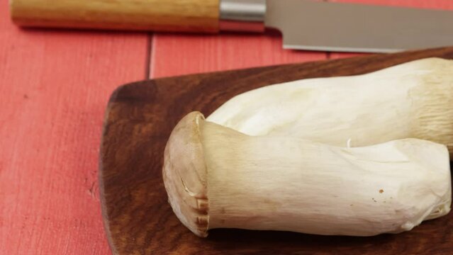 Pleurote du panicaut (pleurotus eryngii) en gros plan