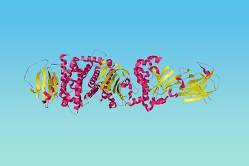 Human gamma herpesvirus 8 in complex with EphA2 on blue background. Ribbons diagram in secondary structure coloring based on protein data bank entry 7b7n. 3d illustration