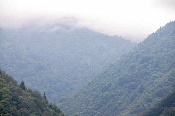 Range of mountains. View of mountains covered with forest