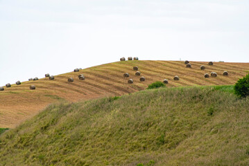 Agricultural Fields in Ragusa - Sicily - Italy