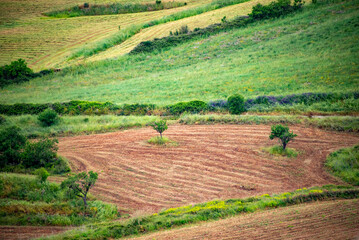 Agricultural Fields in Ragusa - Sicily - Italy