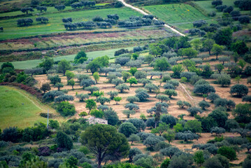 Agricultural Fields in Ragusa - Sicily - Italy