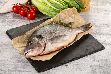 Raw dorada fish served rosemary