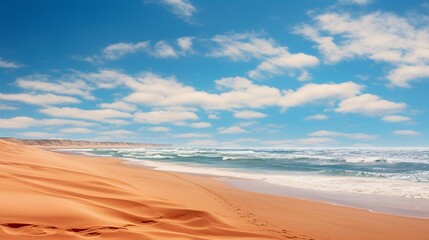 Fototapeta na wymiar Panoramic View of Dune Beach in the Warm Season