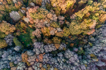Fototapeta na wymiar aerial view of autumn forest, fall textured background