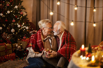 A senior couple is sitting at home and exchanging gifts on christmas and new year's eve.