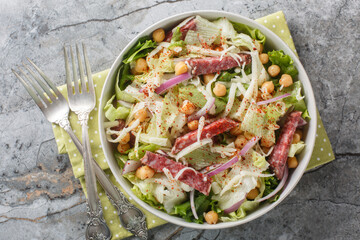 Italian American salad of salami, chickpeas, iceberg and romaine lettuce, mozzarella, onions close-up in a bowl. Horizontal top view