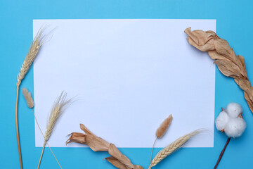 White paper mockup with dried plant on blue background