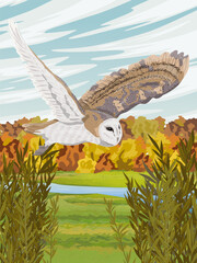 A barn owl flies over Autumn meadow with river and autumn forest on the horizon. Wild birds of the forest. Realistic vector vertical landscape