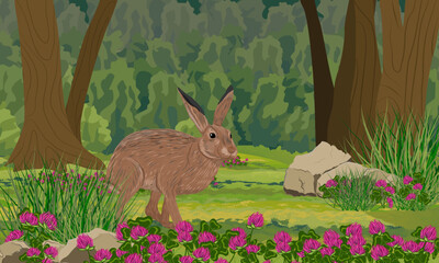 A brown hare walks through a dense forest. Blooming summer forest. Animals of Europe. Realistic vector landscape
