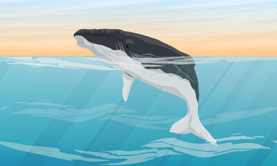 A humpback whale emerges from the water. Ocean at dawn. Realistic vector landscape