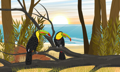 A pair of Keel-billed toucan sits on the branch of a fallen tropical tree. Jungle on the shore of a tropical sea or ocean. Realistic vector landscape.