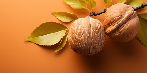 a close up of a walnut