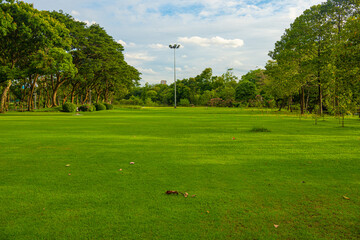 Obraz premium Green city public park meadow grass sunshine blue sky with cloud