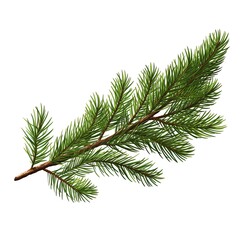 a green pine tree branch