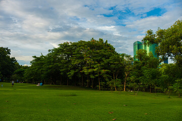 Green city public park meadow grass sunshine blue sky with cloud