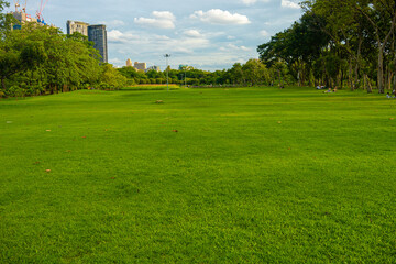 Obraz premium Green city public park meadow grass sunshine blue sky with cloud