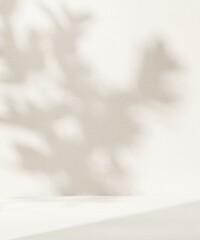 Blank minimal white countertop podium, soft beautiful dappled sunlight, tropical foliage leaf shadow on cream wall for luxury hygiene organic cosmetic, skincare, beauty treatment product background 3D - obrazy, fototapety, plakaty