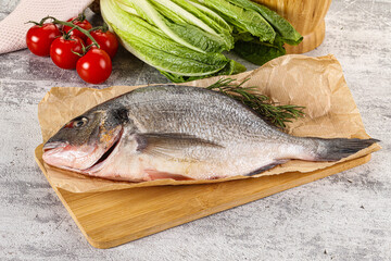 Raw dorada fish served rosemary