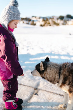 A young girl extends her hand to a husky dog in a snowy setting, with a gesture of greeting.