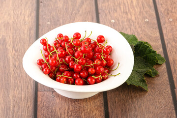 Ripe sweet organic red currant heap