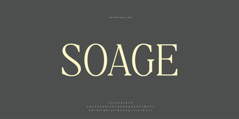 Elegant Font Uppercase Lowercase and Number. Classic Lettering Minimal Fashion Designs. Typography modern Serif fonts regular decorative vintage concept. vector illustration