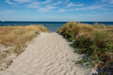 Path between the sand dunes overlooking the sea