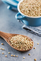 Uncooked lentil legumes in wooden spoon on kitchen table.